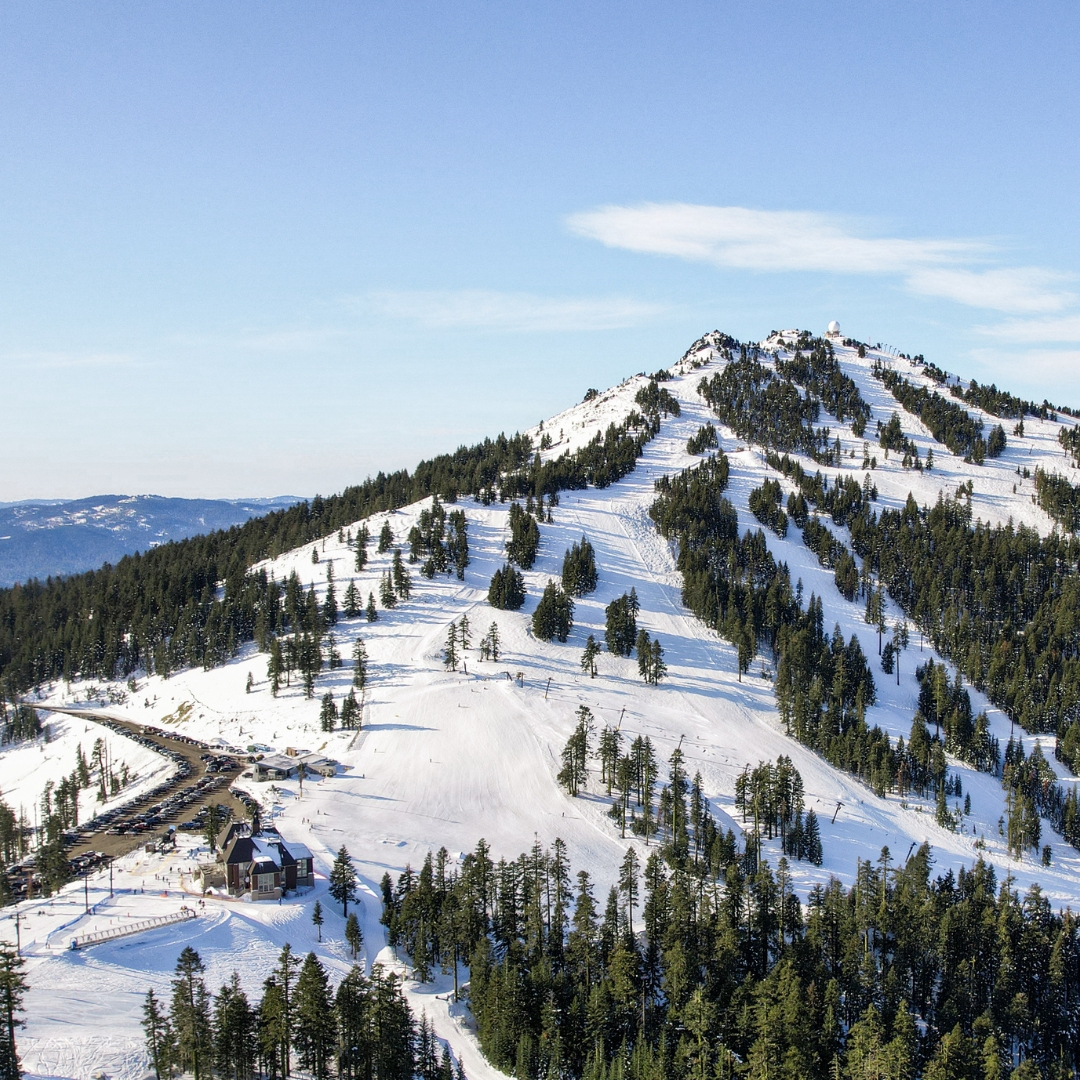 Mt Ashland Ski Area tweet media