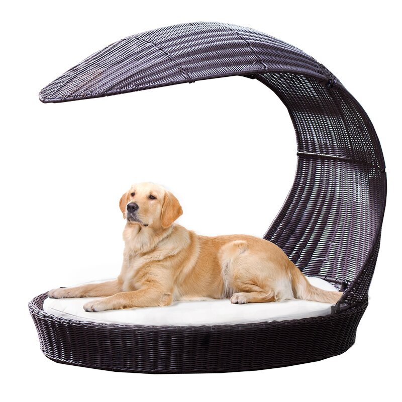 Mom says I can't order this for the backyard 🤷‍♀️