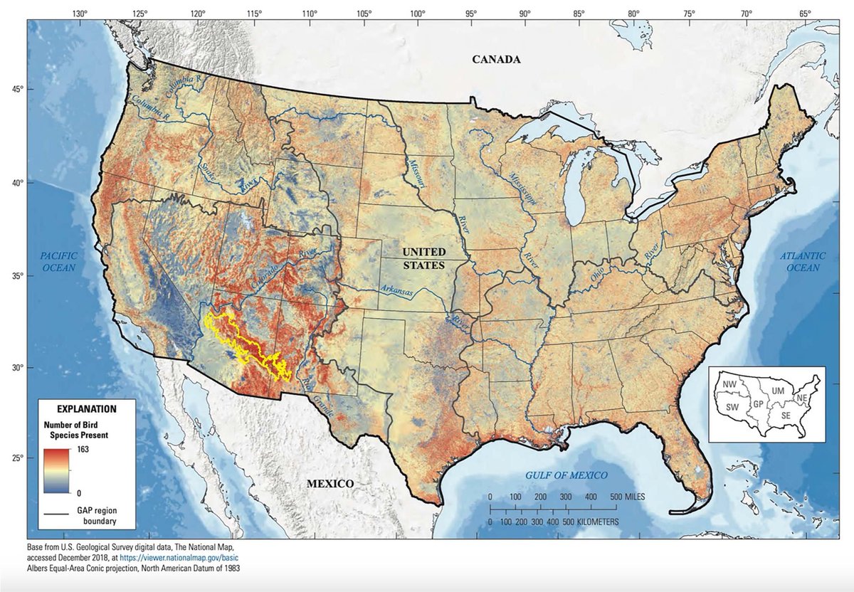 Have you heard of the #MogollonHighlands of #Arizona and #NewMexico? It's a uniquely #biodiverse #ecoregion with a high diversity of #snake species, #birds, and #pines...
bioone.org/journals/natur…