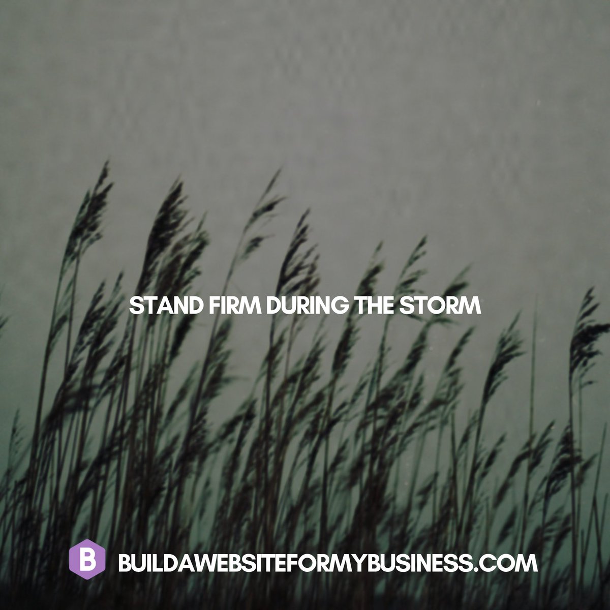 Stand Firm during the storm. Let us build your website while you build your business buildawebsiteformybusiness.com 
.
.
#quotes #InspirationDaily #QuoteOfTheDay #MotivationalQuotes #InspirationalQuotes #Positivity #PositiveMindset #SelfImprovement #DreamBig #AchieveGreatness #StayMotiv