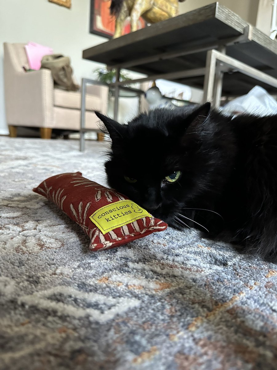 SaraSBaumann's tweet photo. Thanks so much to the marvelous Mabel for this kitty kicker toy!! 

Our cats are obsessed with them! https://t.co/GVzraGReaP