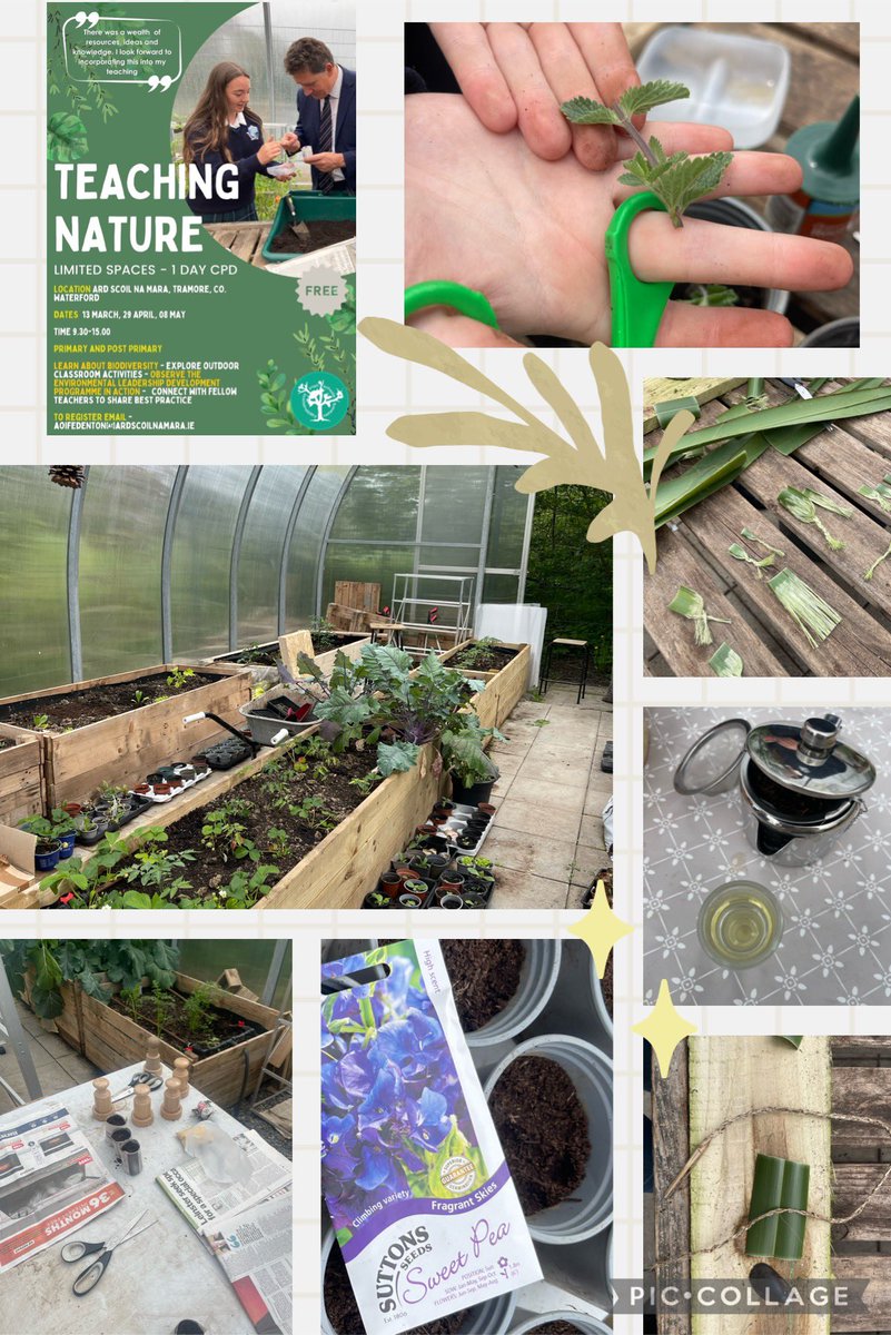 A big thank you to @growgardeners and the amazing students of @ArdscoilNaMara for their warm welcome and hugely informative workshops 💚 Nature Education and Student Leadership 💚 Photos only give a small insight into the wisdom and generosity of this community ✨