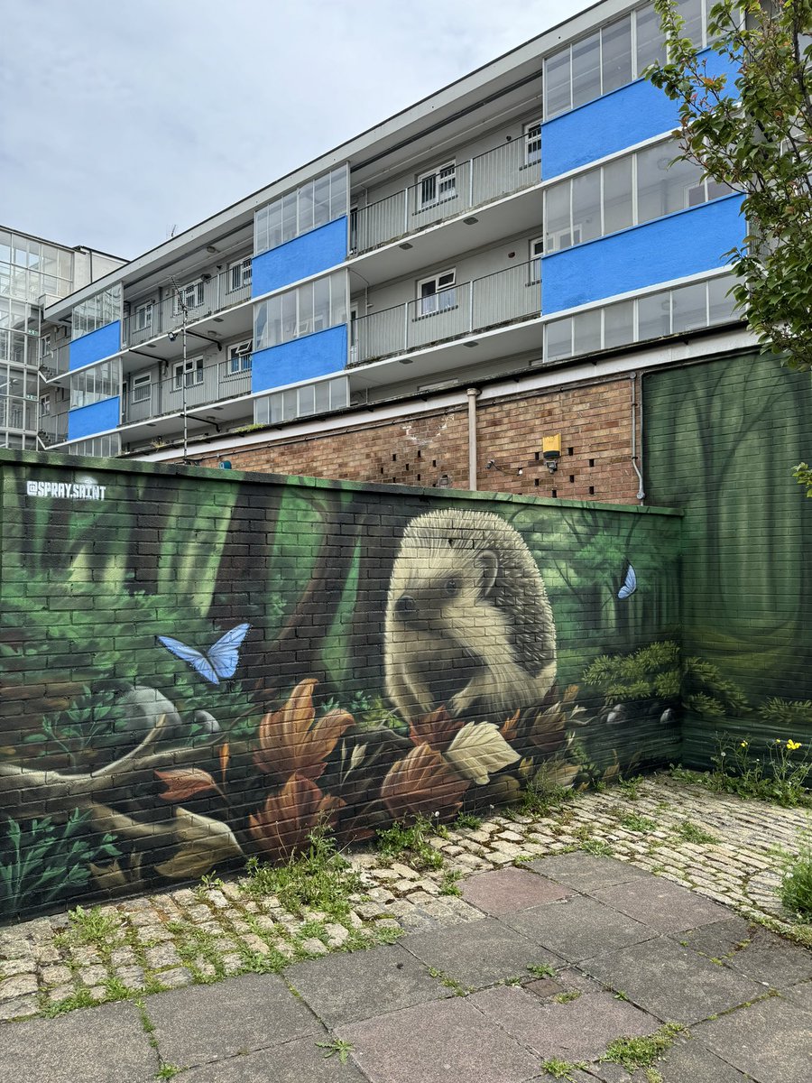 The #Magpie section of the new #mural by #SpraySaint in #Plymouth is complete. #streetart #urbanart #muralart #graffiti #natureart #plymouthstreetart #hedgehog