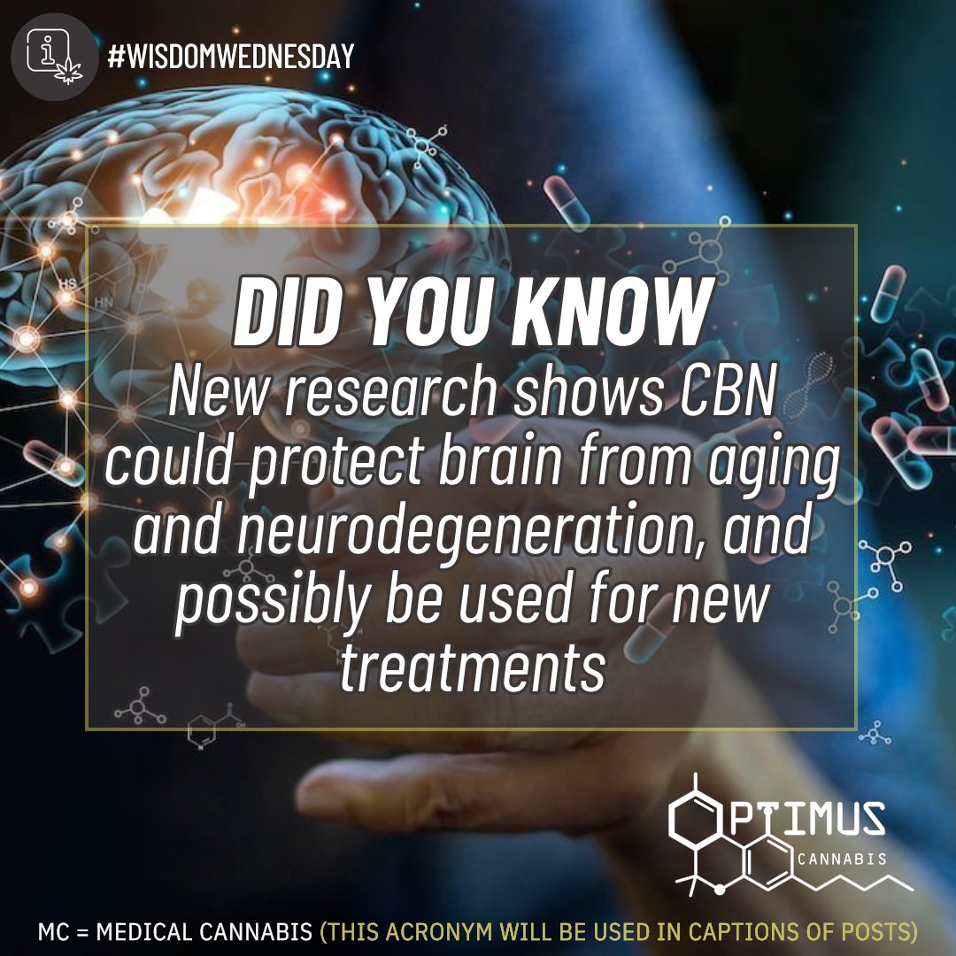 🌟New discoveries reveal how the cannabinoid CBN protects the brain from aging and neurodegeneration, offering potential for therapeutic development. #DidYouKnow approximately one in ten individuals over 65 suffer from neurological disorders, with limited treatment options?…