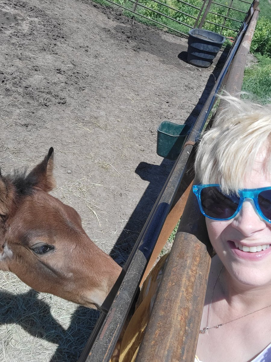 Toni Dean of Students tweet media