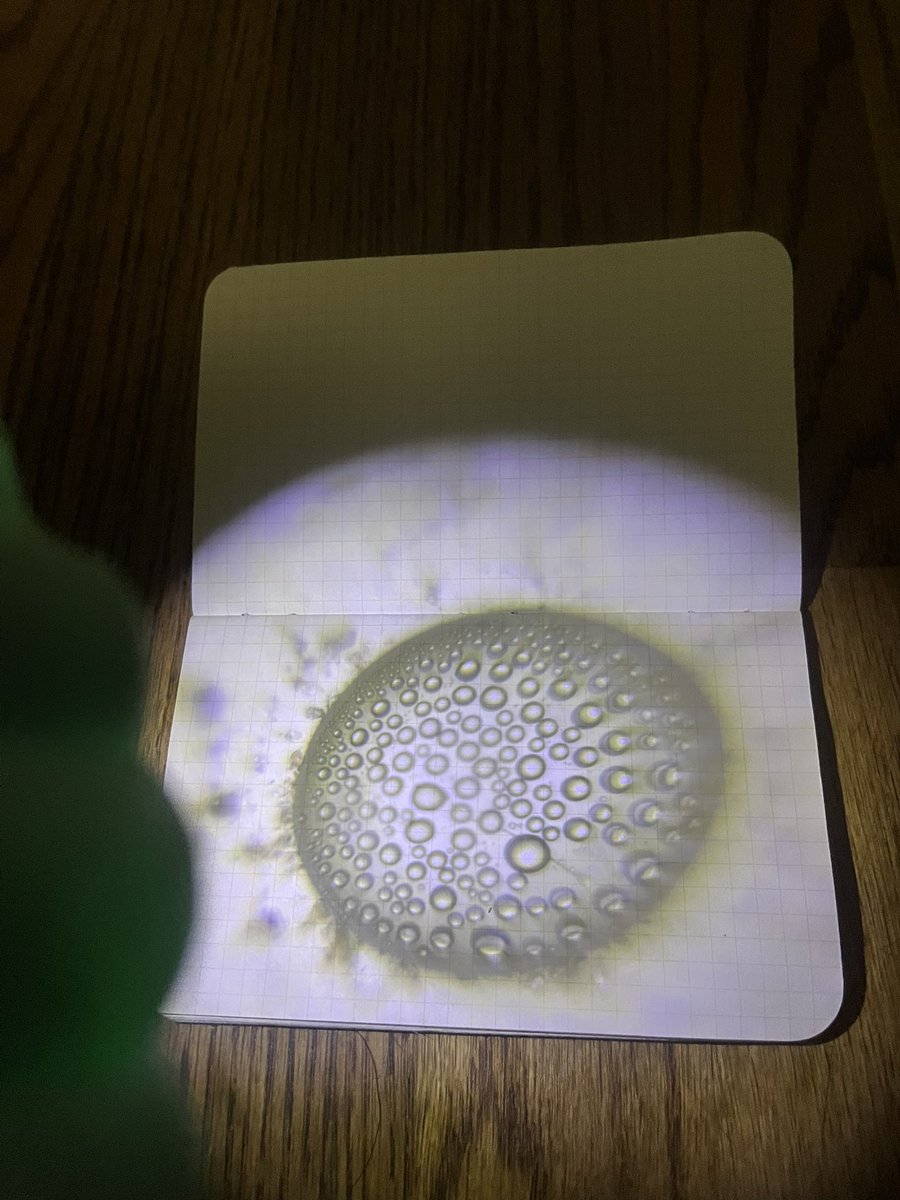 Adventures In Microscopy Projecting bubbles! 🫧 Playing with my @TeamFoldscope MicroRealms Projector and found bubbles within bubbles! #FearlessMicroscopy #ScienceIsFun #ScienceIsBeautiful