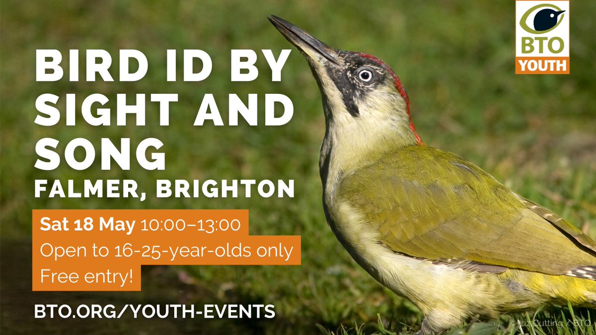 ⭐ Exciting new #BTOYouth event Bird ID by Sight & Song in Brighton🐦🦆 Open to all 16 to 25-year-olds and FREE to attend. 😃 Discover more info and future upcoming events ➡️ bit.ly/bto-youth-even… #YoungNaturalists