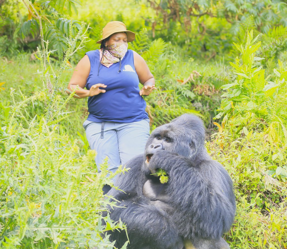 We went for Gorilla tracking at Mgahinga Gorilla national park! It was such an awesome experience!