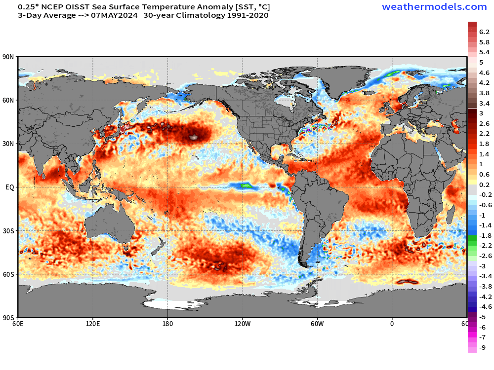 The North Pacific warm blob has reappeared ... but we're also seeing significant cooling w/developing La Niña. 

Atlantic stays toasty
