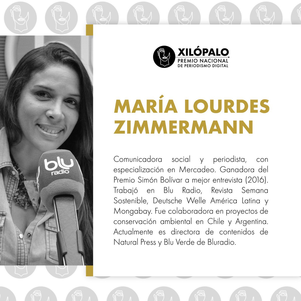 premioxilopalo's tweet photo. https://t.co/TKSUzf4k3K