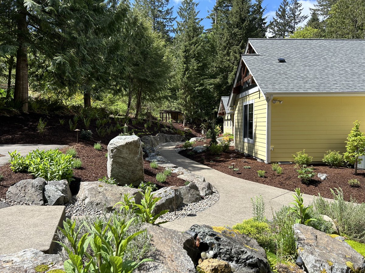 Bark Mulch installation is complete brining us to the end of this project. Next phase of work will take place at a later date, we look forward to coming back! Complete landscape design construction! 💚🐸 #leapfroglandscape #inspiredbynature #olympiawa #plantingbeds