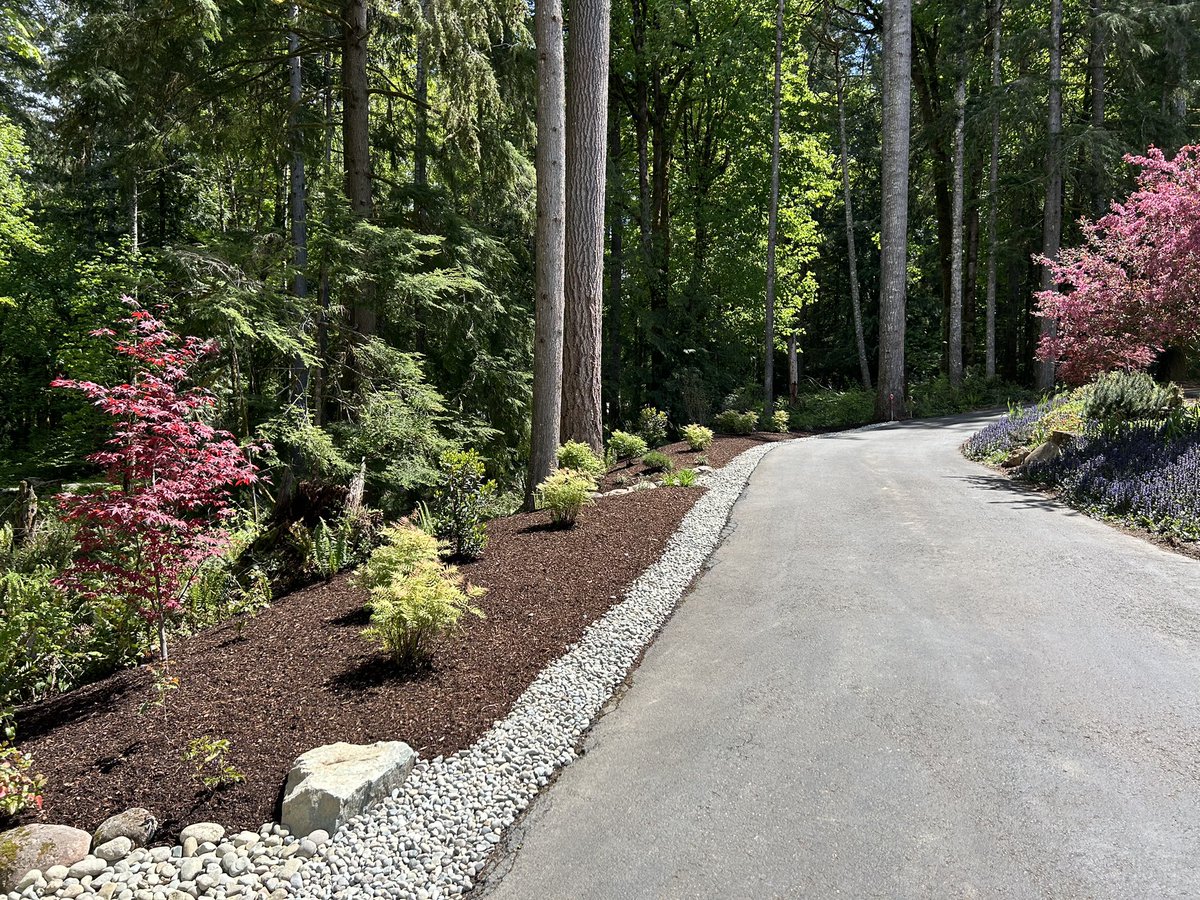 leapfroglands's tweet photo. Bark Mulch installation is complete brining us to the end of this project. Next phase of work will take place at a later date, we look forward to coming back! Complete landscape design construction! 💚🐸 #leapfroglandscape #inspiredbynature #olympiawa #plantingbeds https://t.co/1FahSoj9gM