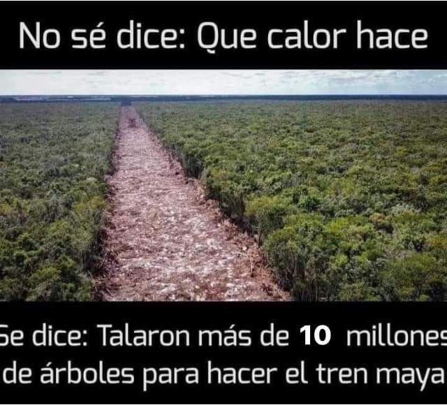 No sé dice: Qué pvta #OndaDeCalor hace ‼️

Se dice: Talaron más de 10 millones de árboles para hacer el Tren Maya y el  #NarcoPresidenteAMLO56 te dijo que "ni uno solo" se iba a talar

#YaSeVan #ElCambioViene