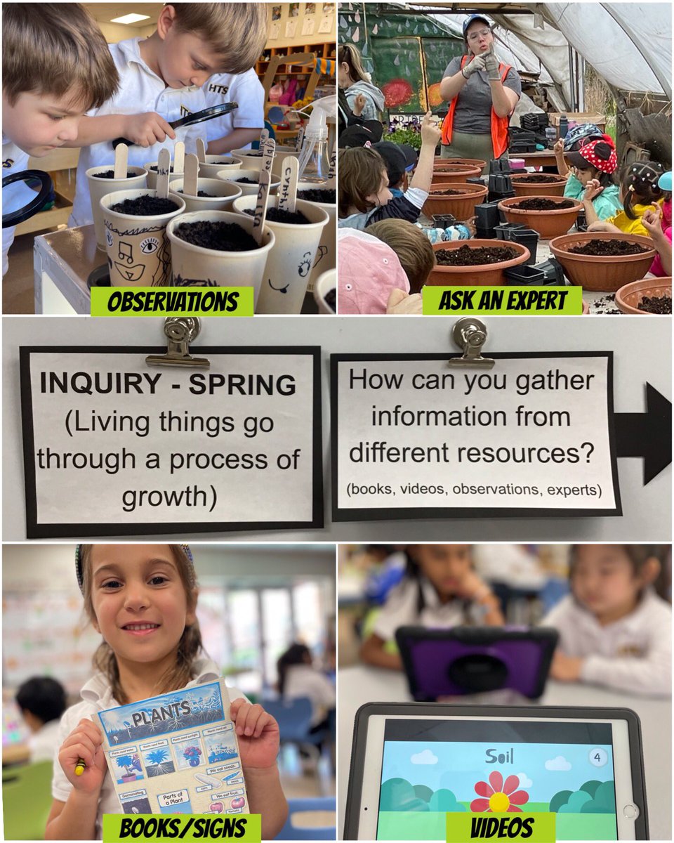 Ask us how we are gather information for our Spring Inquiry - Living things go through a process of growth. 🎥📚💻👩🏼‍🌾 #Kindergarten #BetterTogether❤️ @HTS_MsRanieri @HTSRichmondHill