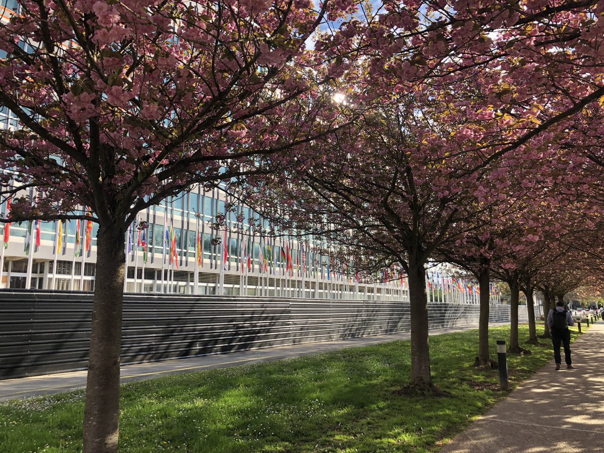 Dr Emily McWhirter (@mcwhirteremily) on Twitter photo Leaving <a href="/WHO/">World Health Organization (WHO)</a> and beautiful Geneva after 3 amazing years. A privilege to have worked with some incredible people and I have learnt more than I ever thought possible. Thank you <a href="/DrTedros/">Tedros Adhanom Ghebreyesus</a> . Leaving <a href="/WHO/">World Health Organization (WHO)</a> and beautiful Geneva after 3 amazing years. A privilege to have worked with some incredible people and I have learnt more than I ever thought possible. Thank you <a href="/DrTedros/">Tedros Adhanom Ghebreyesus</a> .