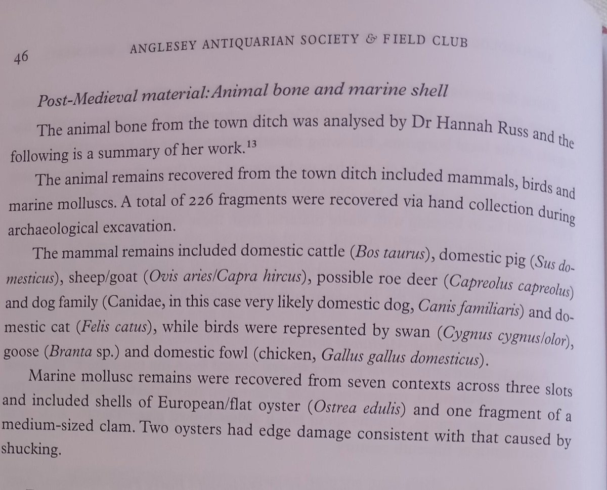 It was great to see our article about the discovery of a remaining section of the Beaumaris Medieval town wall and defensive ditch in the new edition of the Transactions of the Anglesey Antiquarians