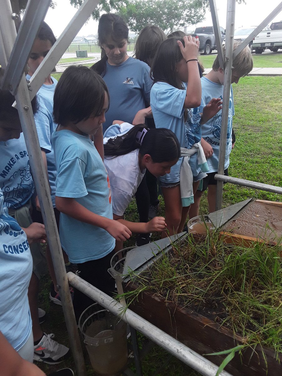 Amy Seitz tweet media