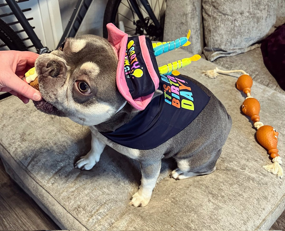 Tonto 🏴 tweet media