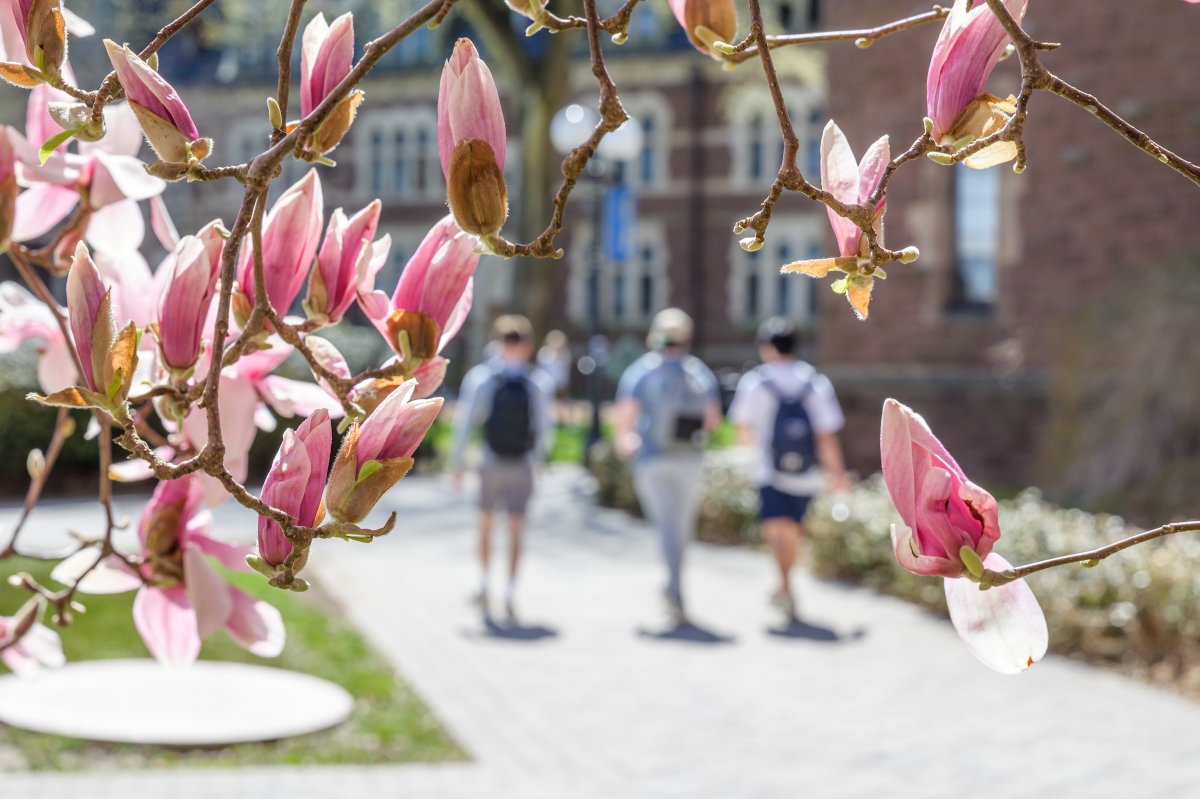 Finals are in full swing and spring is in full bloom! Best of luck on your exams, Bantams. #TogetherWeTrin 💙💛