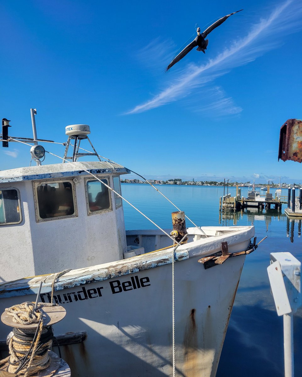 Dive into Bite by Bite: Sustainable Eats with host @daliacolon & Dr. Angela Collins of @FloridaSeaGrant, exploring eco-conscious seafood choices! 🌱🐟 Stream now 👉 wedu.org/bitebybite #EcoFriendlySeafood #BehindTheScenes