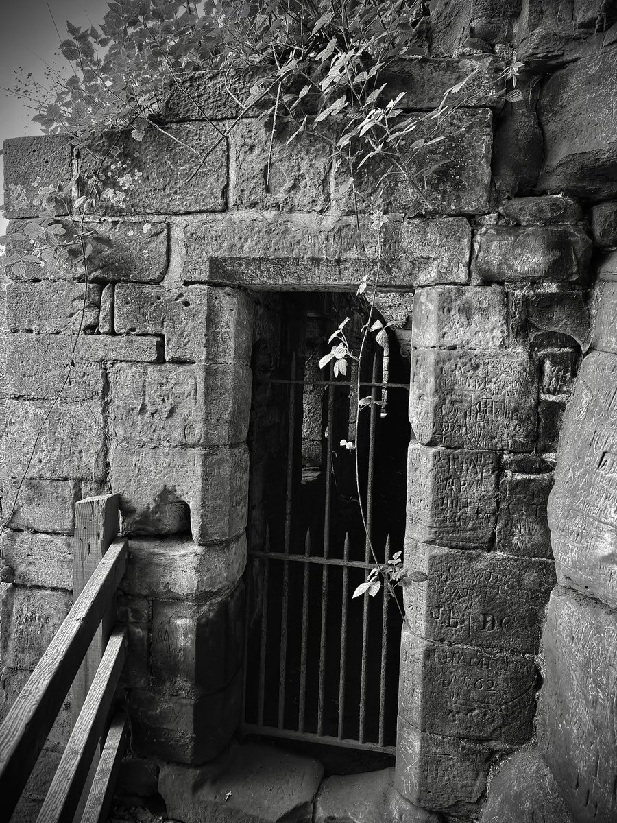 liam_lovell's tweet image. 14th Century St Constantine's Cells at Wetheral, an eerie place to be 👀 Left to #nature with interesting #engravings into the limestone rocks #cumbria #history