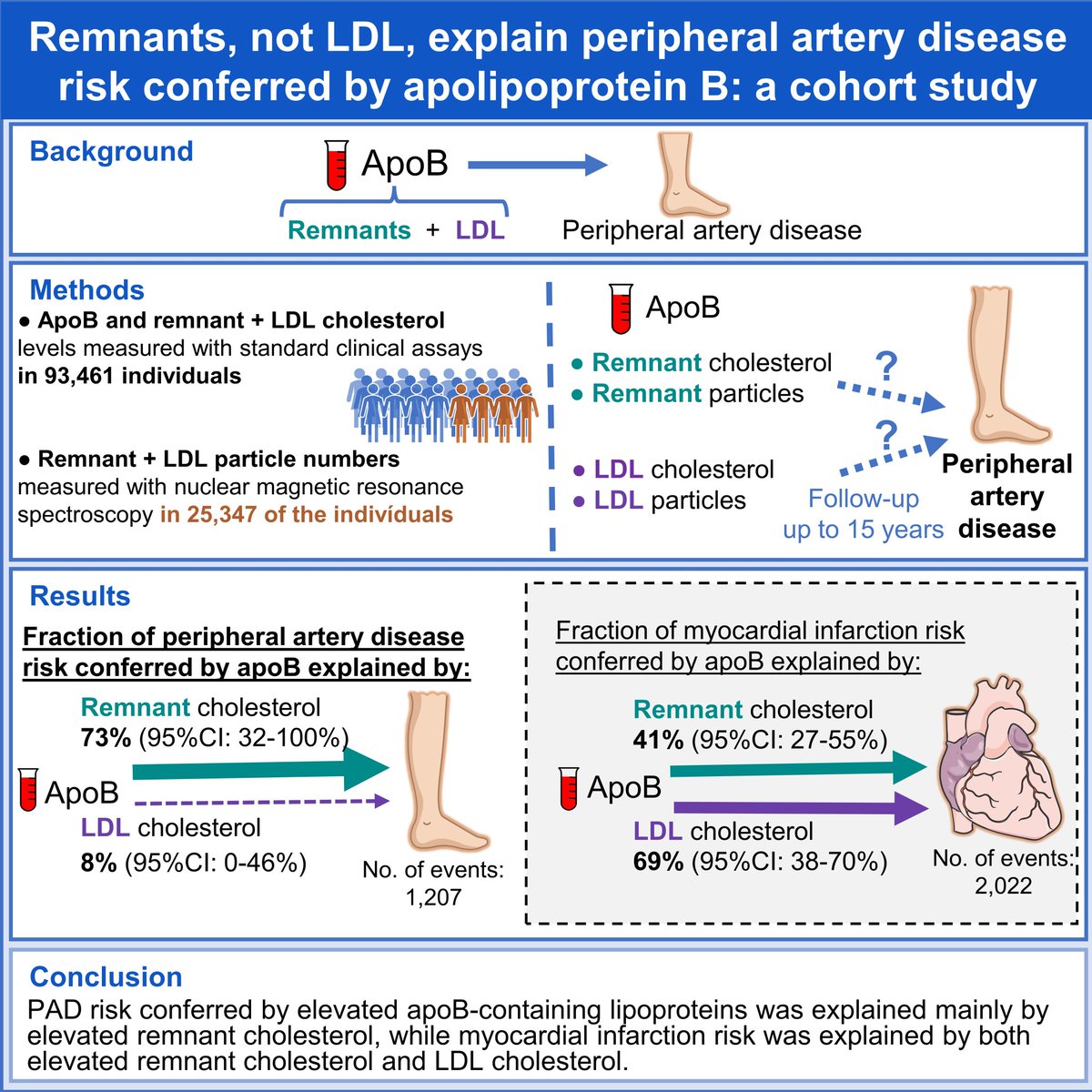 May Featured: Remnant cholesterol - more so than LDL cholesterol - is associated with peripheral artery disease: could this suggest a path to better lipid-based prevention and treatment of this common disease? ahajrnls.org/49b7kzu