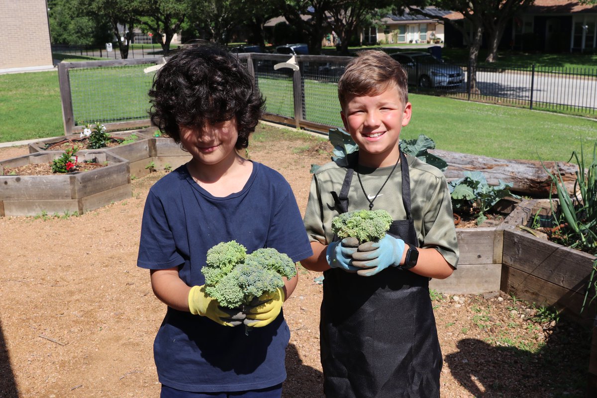 🌱🌻 The GT students at @canSTEM have been working hard! They rolled up their sleeves, planted seeds and cared for their garden through the spring semester. Now, the time has come to reap the fruits of their labor! Check out some pictures of the students tending to their garden.