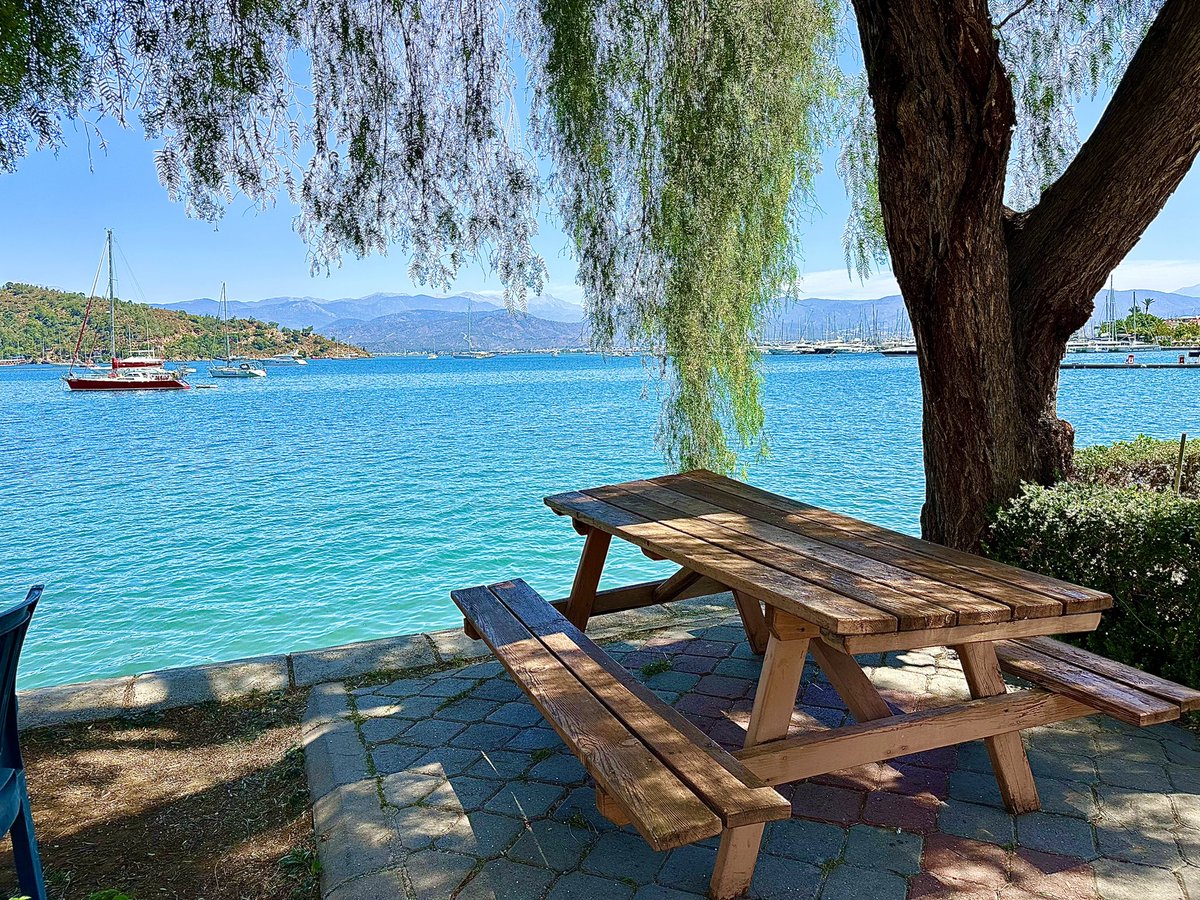 Karabiber ağacı (Schinus molle ) gölgesi, bank ve Fethiye körfezi. Öğlen bir saat bu sakinlikte vakit geçirmek 🧿