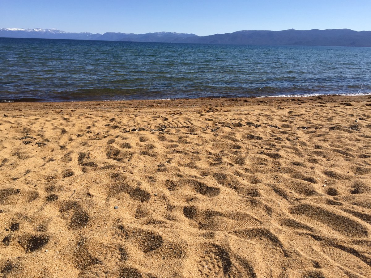 For public health/safety reasons, pets are not permitted on designated swim beaches: Baldwin, Camp Richardson, Meeks Bay, Nevada, Pope, William Kent, Zephyr Cove. For ideas on recreating with pets, visit our 'Dogs at Lake Tahoe' webpage: tinyurl.com/bdh47prz. #beachvibes