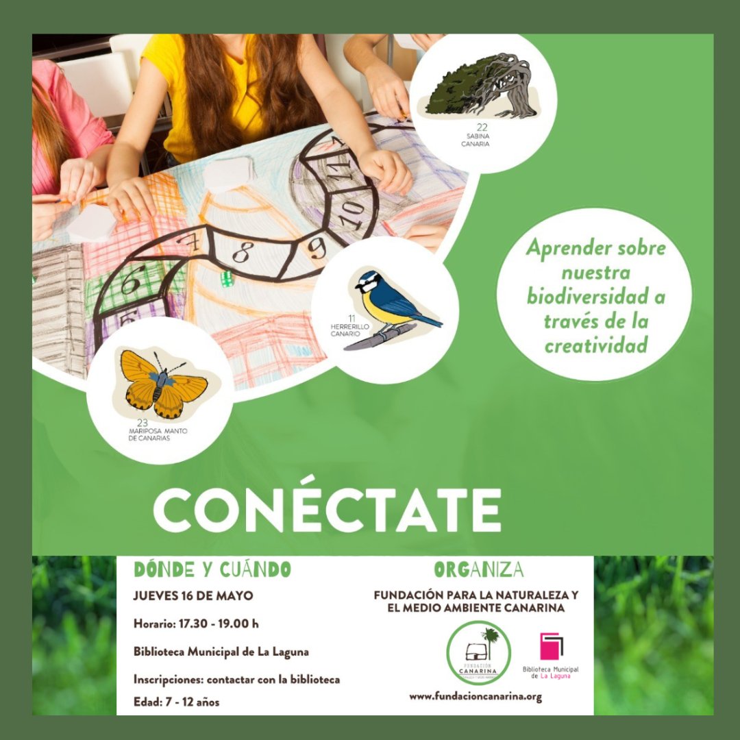 FundacCanarina's tweet photo. Una oportunidad para niñxs de 7 a 12 años de descubrir el fascinante mundo de la diversidad biológica canaria a través del juego, movimiento y la interpretación
#TallerConéctate 16 de mayo
Biblioteca Municipal de La Laguna
#ProgramaConecta #somoscanarina #educaciónambiental https://t.co/6Q7KMjNP6v