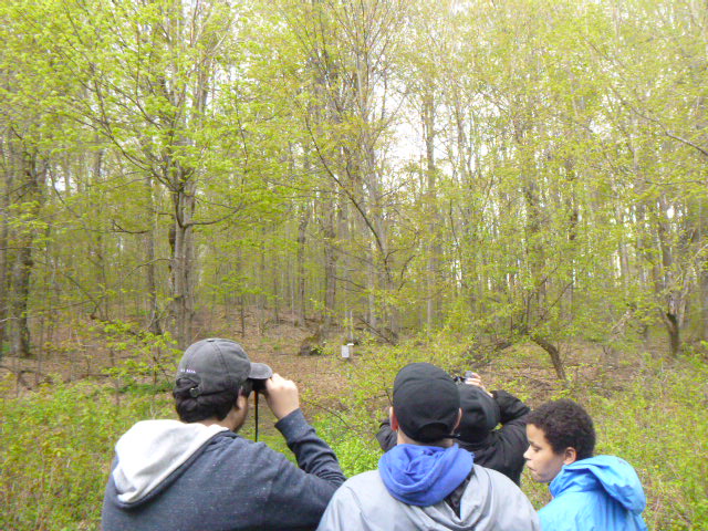 <a href="/WJMcCordic/">W J McCordic School</a> has arrived! Students enjoyed a bird watching hike and participated in the #SchoolyardBirdBlitz <a href="/BirdsCanada/">Birds Canada</a>_Ed @BirdsCanada  Only the Chickadees and Turkey Vultures came out to say hi on a windy rainy day!