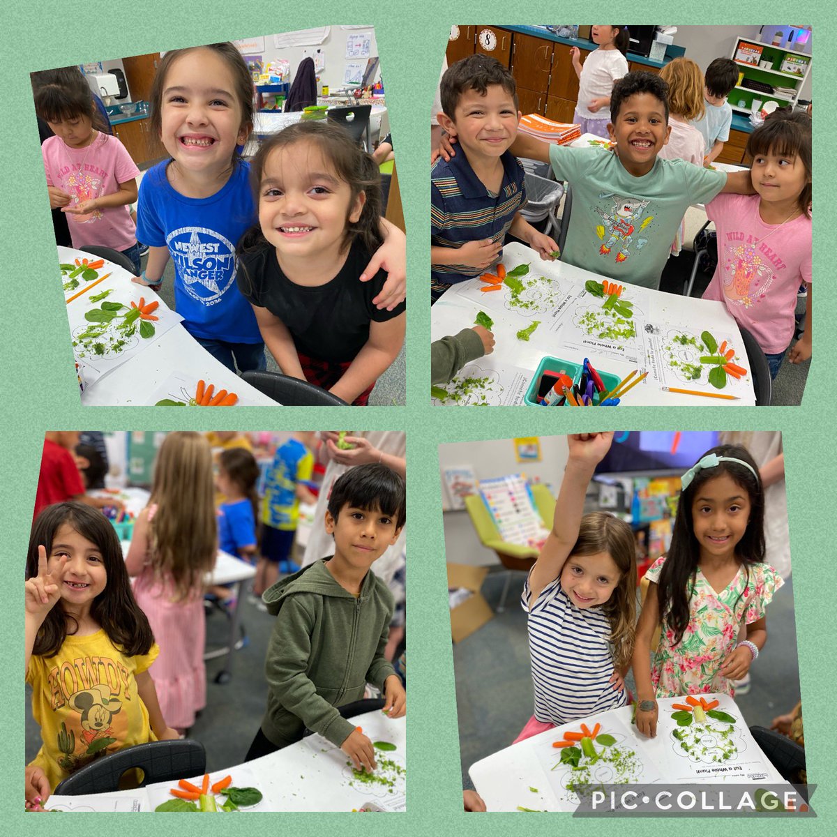 La semana pasada culmínalos la unidad de plantas con esta actividad: “Comete toda la planta” 🌱 😋 
#KínderEsMaravilloso #ICanEatAPlant #CISDScience #WilsonWay