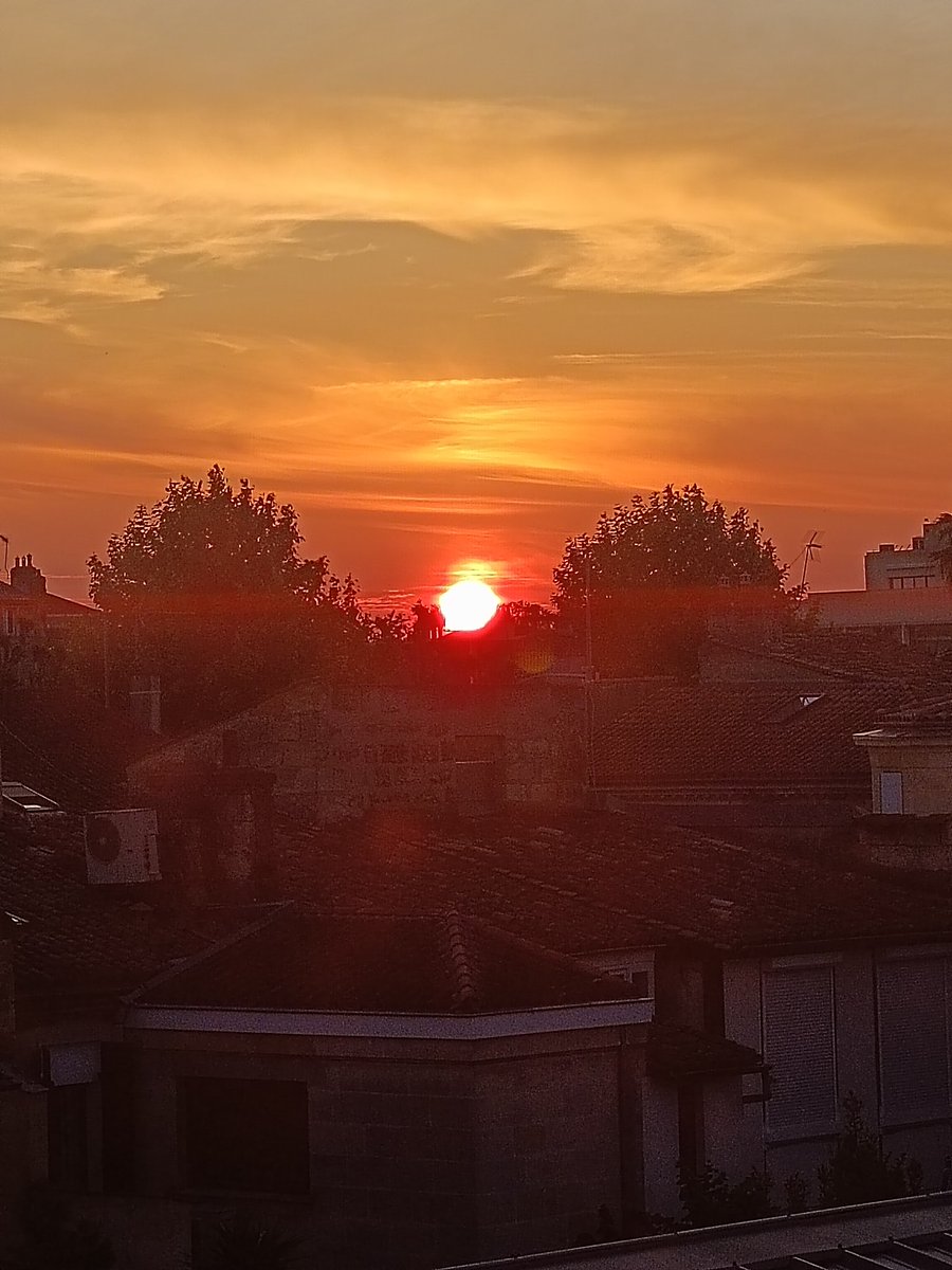 Deux arbres témoins du soleil du soir qui se couche doucement entre les murs de Bordeaux, nous laissant avec l'espoir d'une belle journée à venir 🙏 Vivement demain !☺️