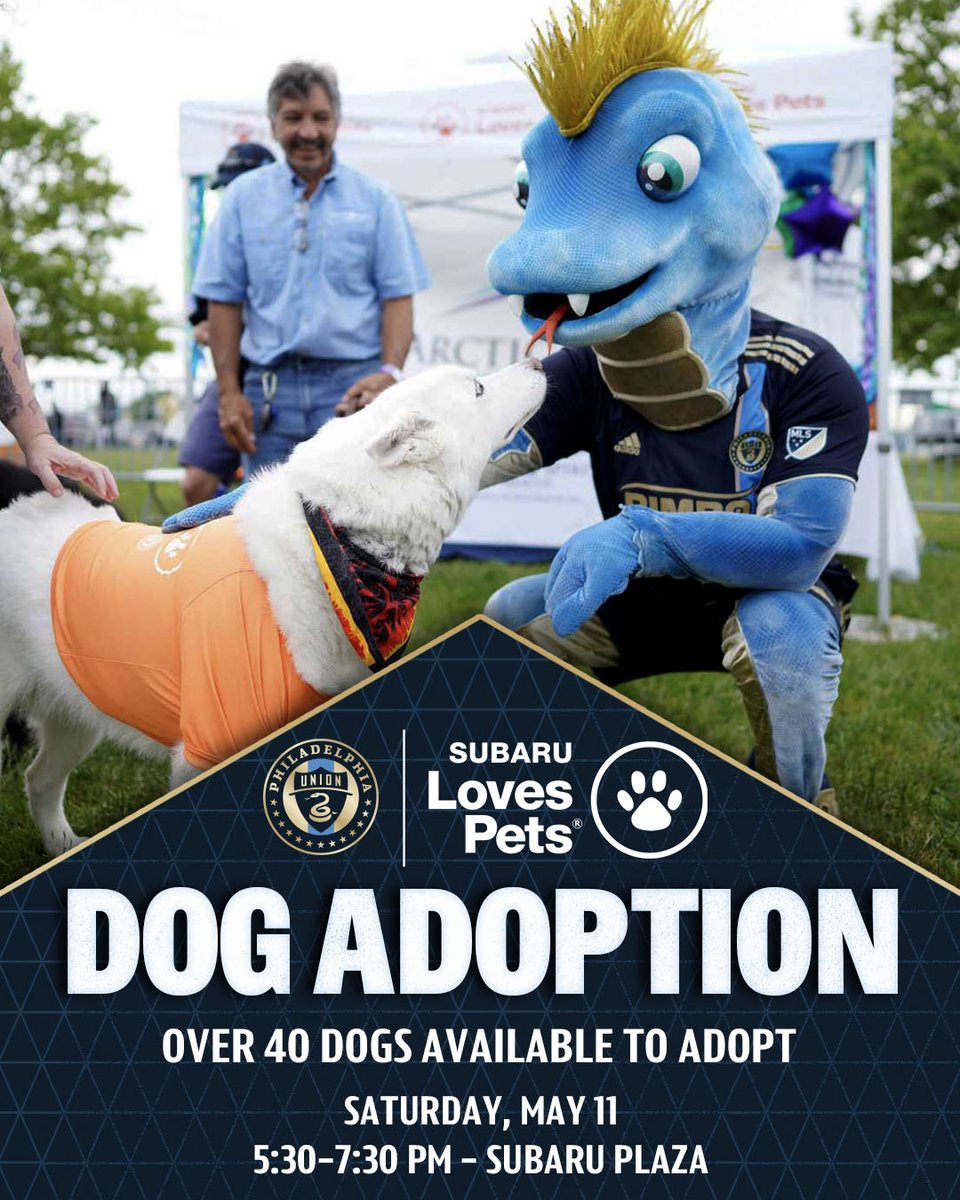 Meet your new best friend before our match this weekend 🥹 @subaru_usa is bringing over 40 adoptable dogs to Plaza on Saturday! #DOOP