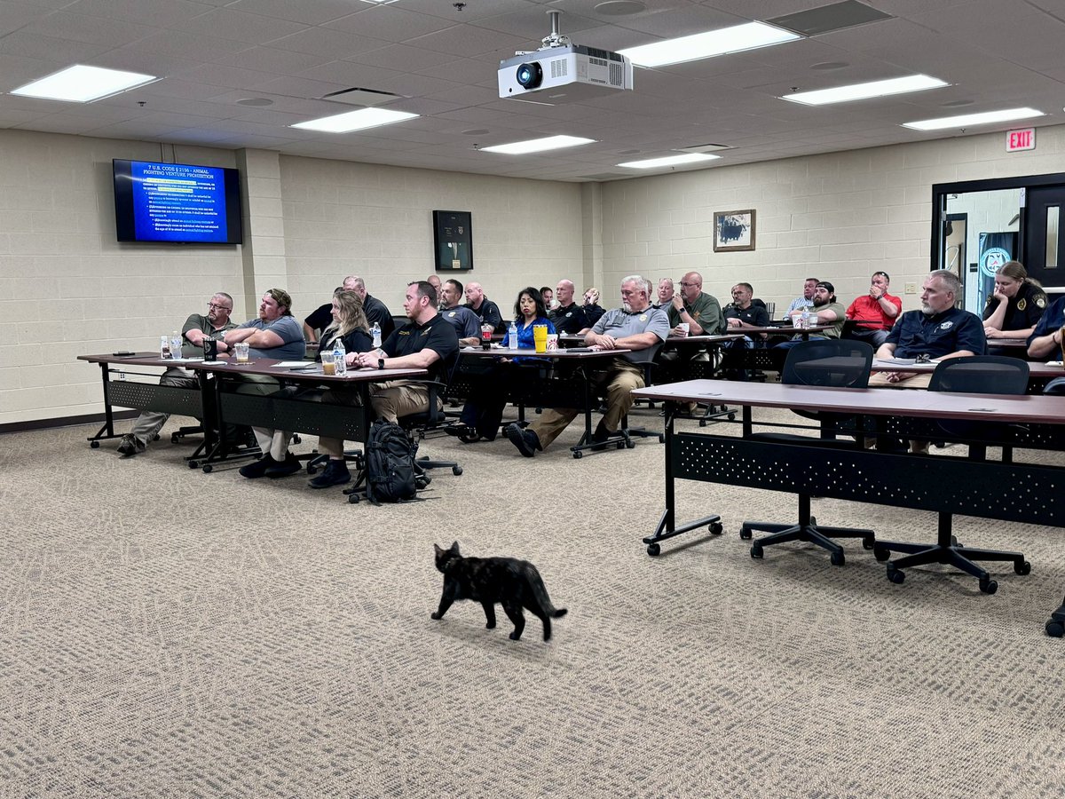 Prosecuting Attorneys' Council of Georgia tweet media