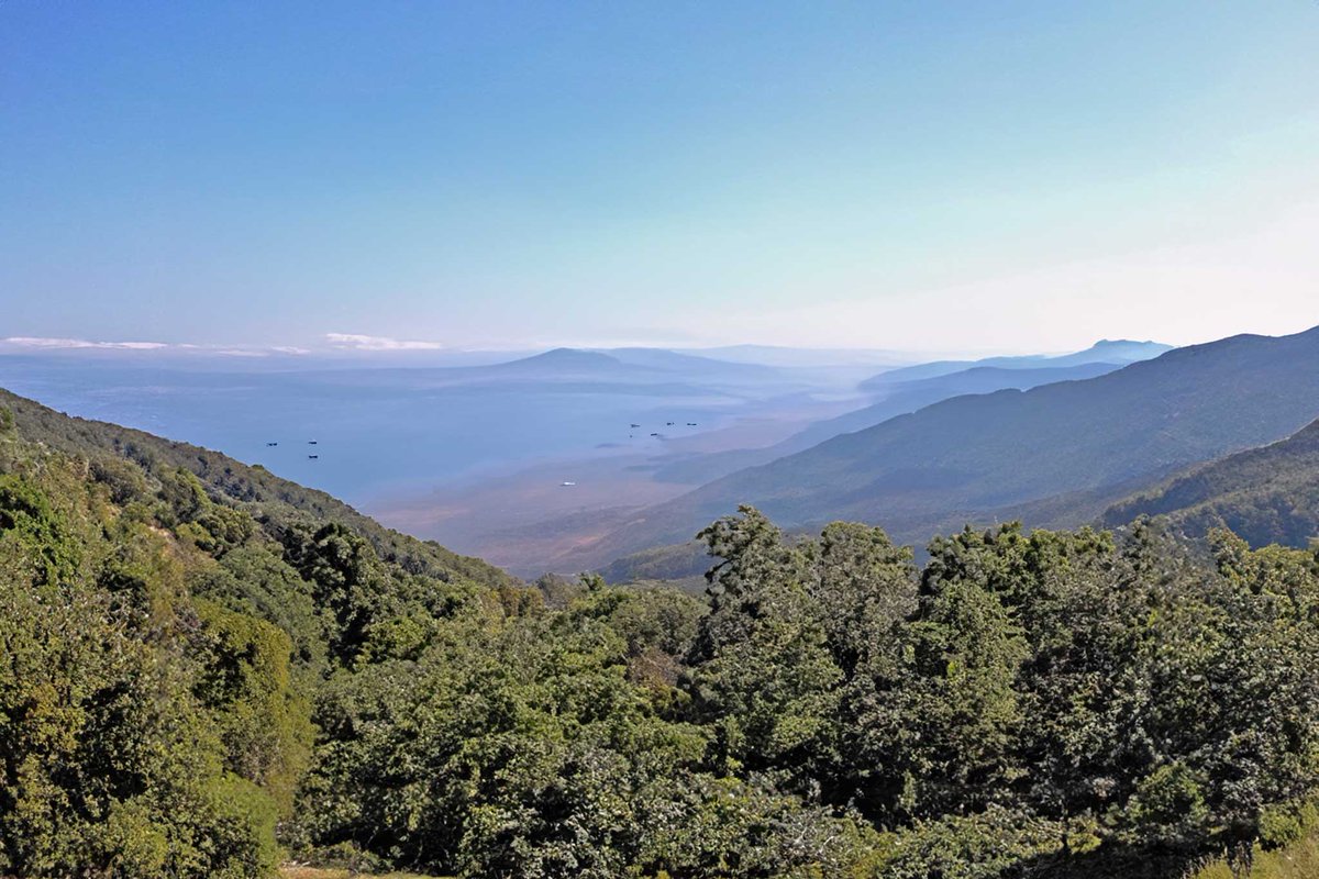 Weekend da sogno sull’isola d’Elba dlvr.it/T6cDjP