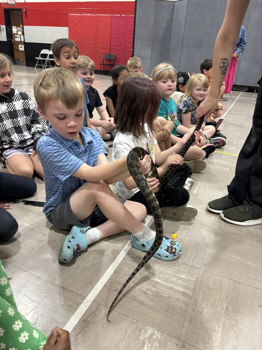 Kayla Stine tweet media