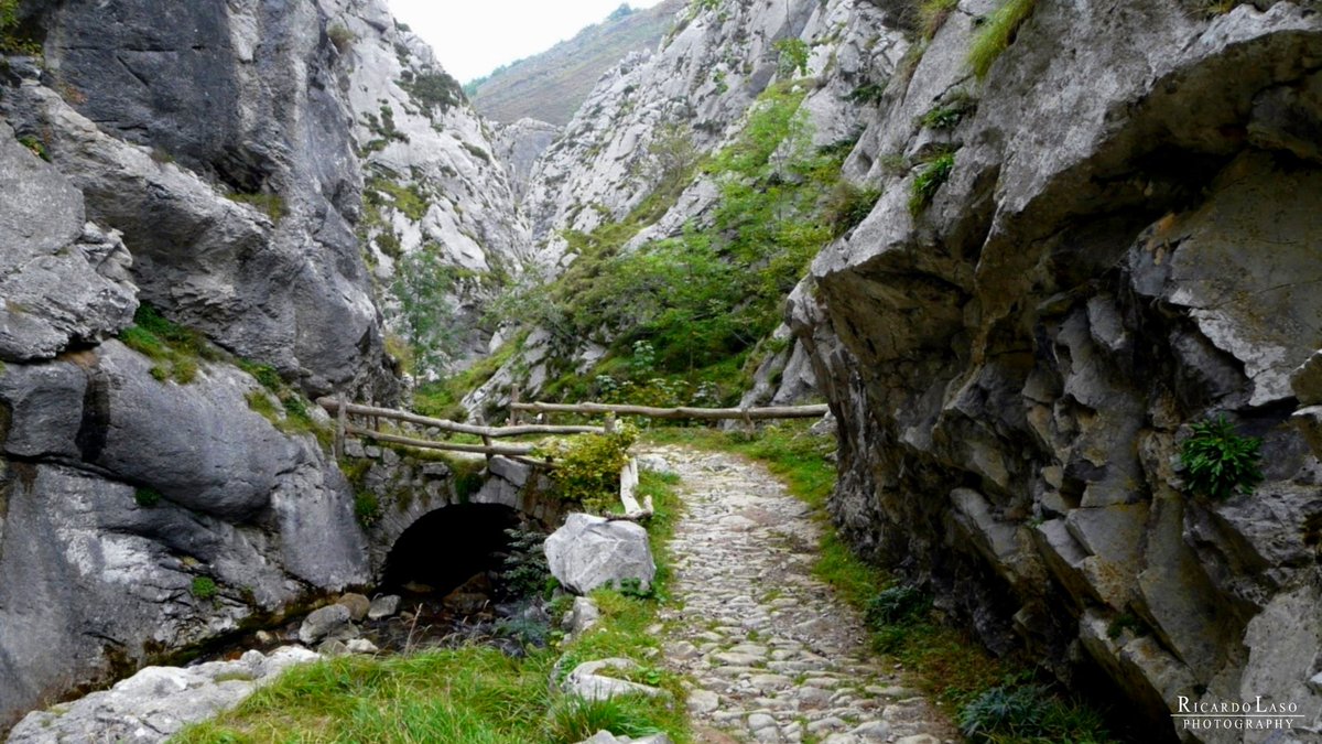 LES FOCES DEL PINO #ALLER #ASTURIAS Las Foces del Pino están dentro de la ruta allerana de las Foces del Río Pino y Río Aller. Ruta lineal de un total de 13 km. Con inicio en la localidad de El Pino y finalización en La Paraya (el tiempo para realizar esta ruta es de casi 5 horas