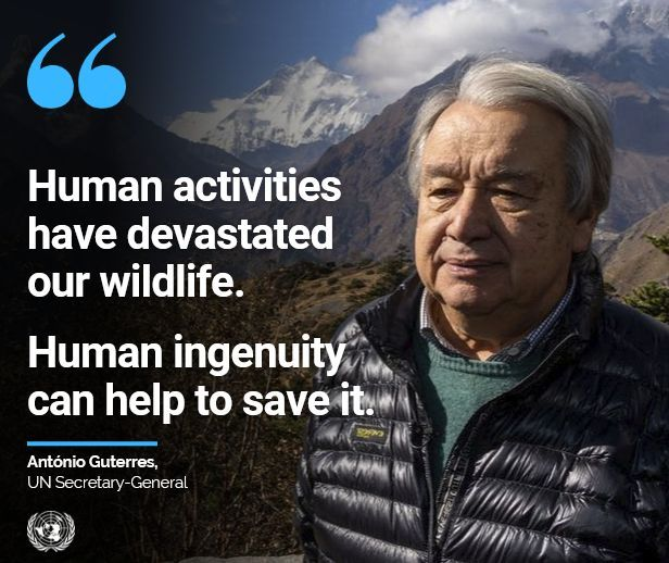 Millions of species are facing extinction due to habitat destruction, pollution, and climate chaos. @antonioguterres calls for urgent action to reduce emissions, adapt to climate extremes, prevent pollution, and save biodiversity. More➡️buff.ly/434vw5h @UNGeneva