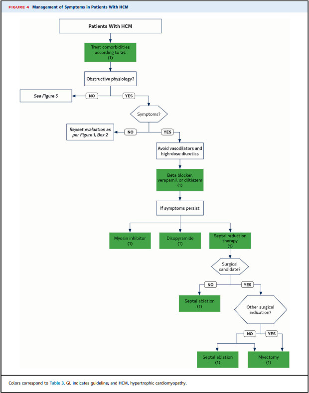 Do you have your finger on the #cvHCM pulse? New HCM guideline out TODAY in @JACCJournals! Addresses shifting landscape with myosin inhibitors: jacc.org/doi/pdf/10.101…
