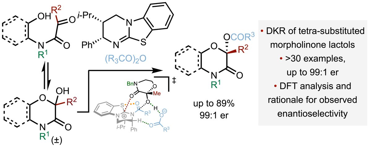 Andrew Smith (@ads10_standrews) on Twitter photo A first for the group; back-to-back acylative DKRs <a href="/angew_chem/">Angewandte Chemie</a>! First up fantastic work from Haoxiang, Kevin and Alex <a href="/StAndrewsChem/">St Andrews School of Chemistry</a> with comp insight from the Cheong group <a href="/farah_ochem/">Abdikani Farah</a> - the DKR of tetrasubstituted morpholinone lactols
doi.org/10.1002/anie.2… A first for the group; back-to-back acylative DKRs <a href="/angew_chem/">Angewandte Chemie</a>! First up fantastic work from Haoxiang, Kevin and Alex <a href="/StAndrewsChem/">St Andrews School of Chemistry</a> with comp insight from the Cheong group <a href="/farah_ochem/">Abdikani Farah</a> - the DKR of tetrasubstituted morpholinone lactols
doi.org/10.1002/anie.2…