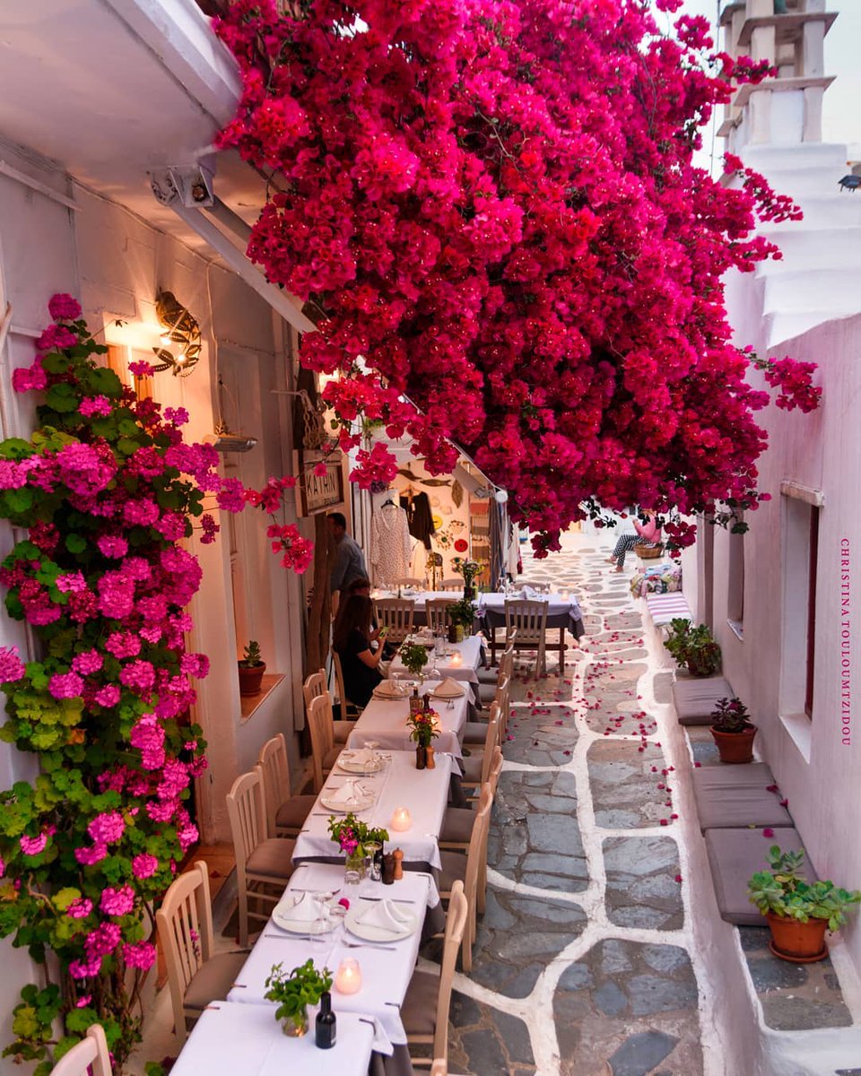 Mykonos, Greece 🇬🇷
