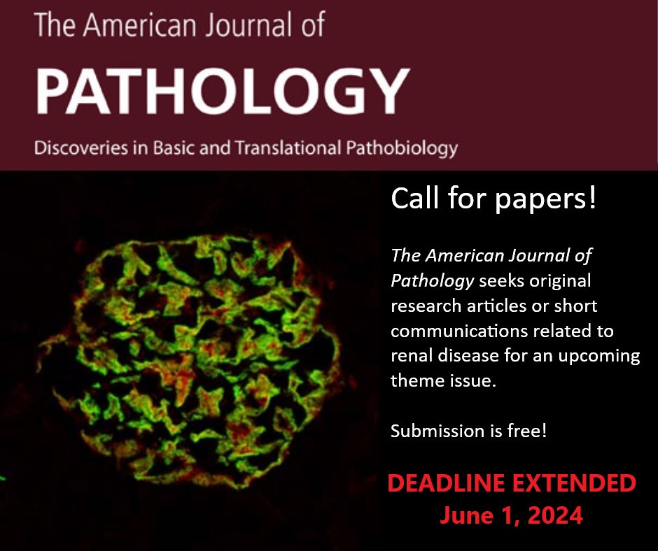 There is still time to submit your #renaldisease research for our current #CallforPapers!

DEADLINE: June 1, 2024

Share with your renal colleagues!

editorialmanager.com/ajpa/default2.…