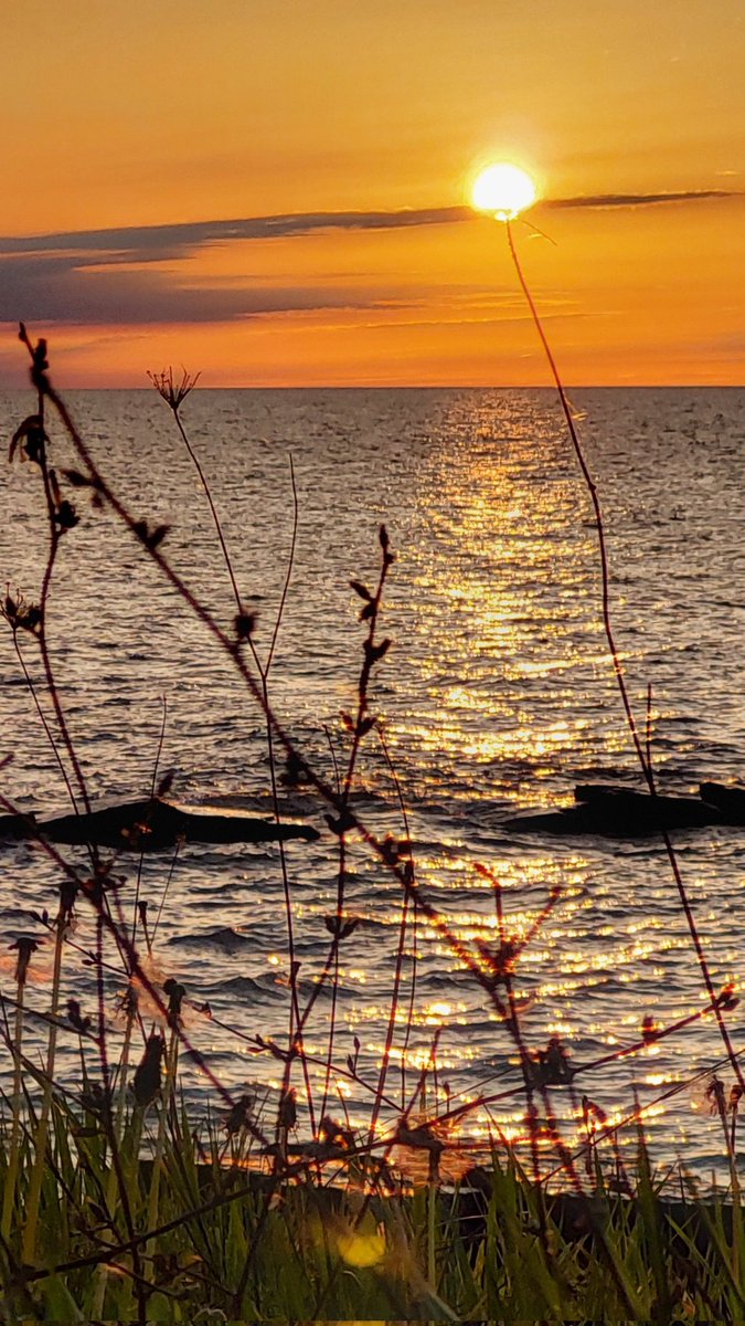 All Photographers, show me your Coolest Recent Photos! 📸🤳🙌

Mine.. 👇🏼

#NilaPix #Lake #Erie #Golden #Hour #Evening #Sky #Clouds #Sunset #Dusk #NoFilter #SunsetPhotography #Nature #Photography #NaturePhotography #View #MobilePhotography