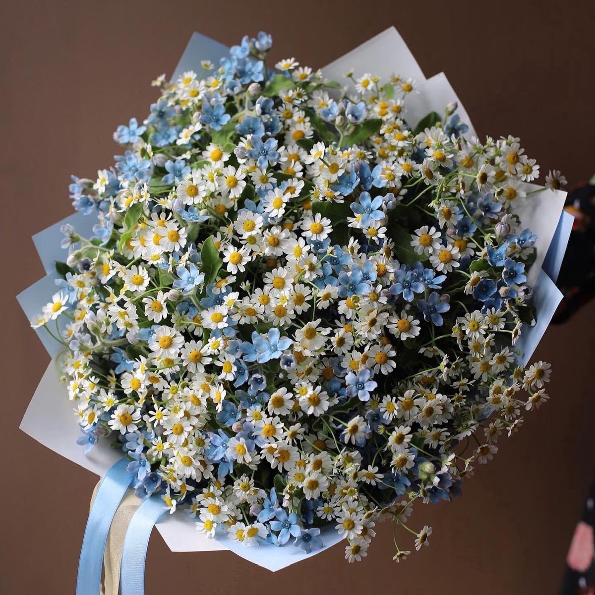 just Flowers (@just_flowers_11) on Twitter photo 