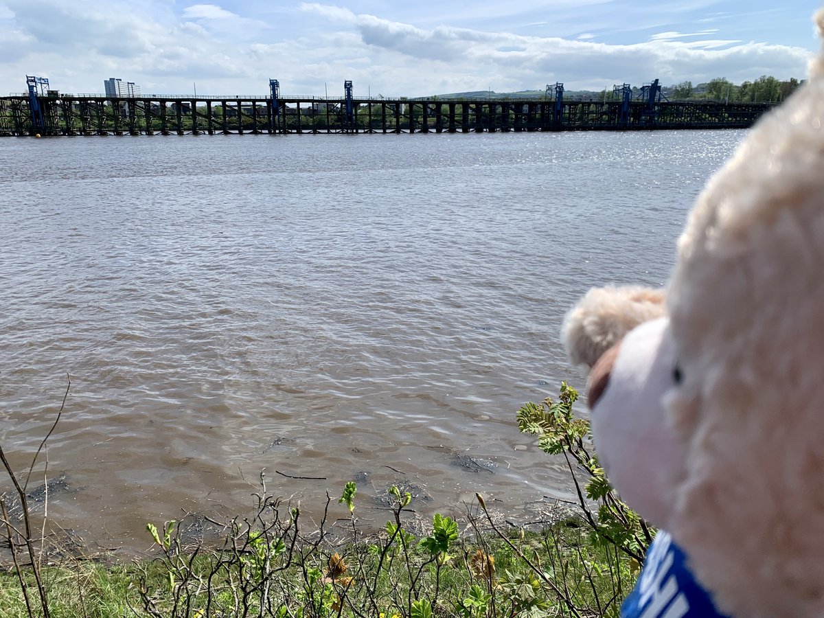 My first pawtrol for Zombie Squad! No zombs trying to cross the river from the coal staiths- they’re disused now, & would make a pawfect cover for an unexpected attack! Not today they won’t, though 👍 #zshq