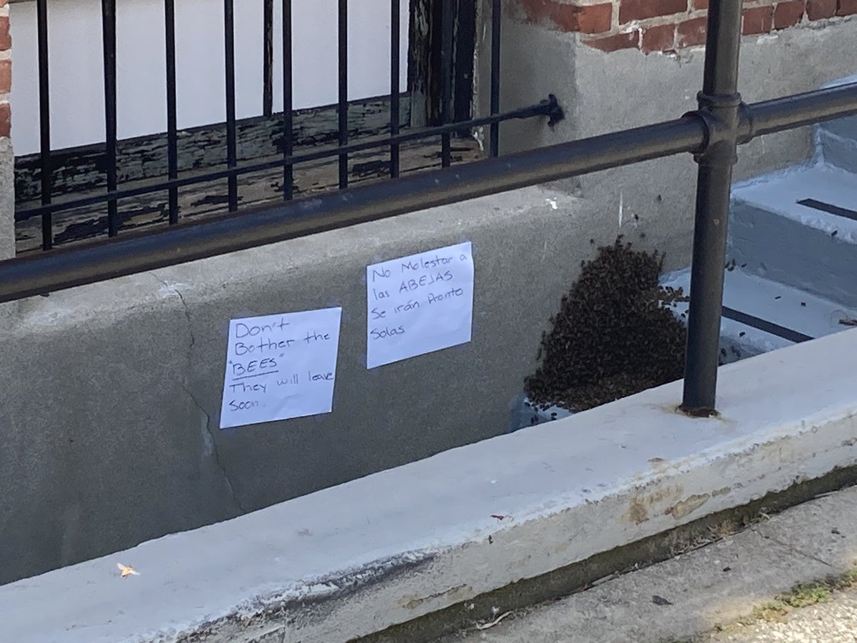 Love this! Bee kind  🐝 to our #pollinators <a href="/OurSantaMonica/">Our Santa Monica 🎡☘️</a> #Palihouse #SantaMonica