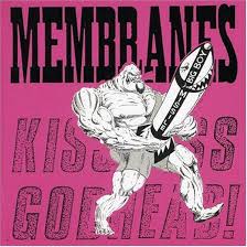 RIP Steve Albini... Three of the lesser known albums he engineered that are worth lending your ears to. #silverfish #dazzlingkillmen #themembranes