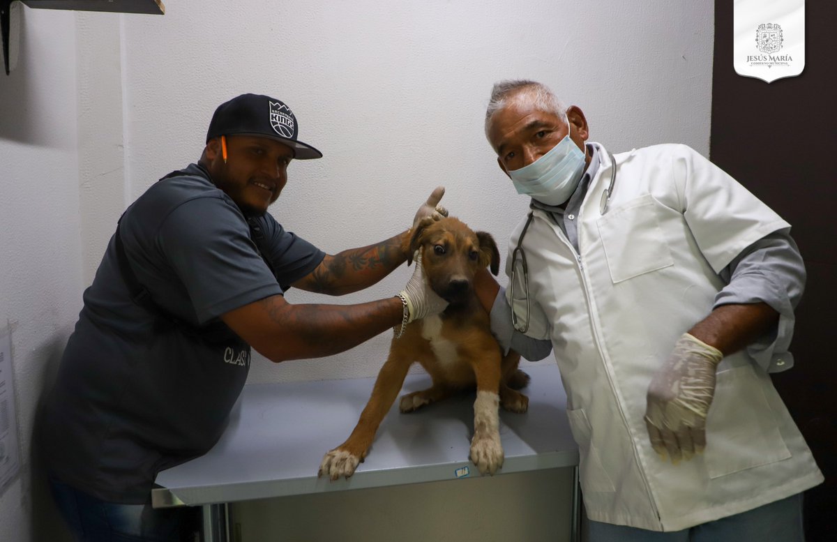 JESÚS MARÍA CUENTA CON UN CONSULTORIO VETERINARIO QUE OFRECE SERVICIOS A BAJO COSTO

#JesúsMaría #Aguascalientes #ServiciosVeterinarios

albertoviverosnoticias.com/detallenota.ph…