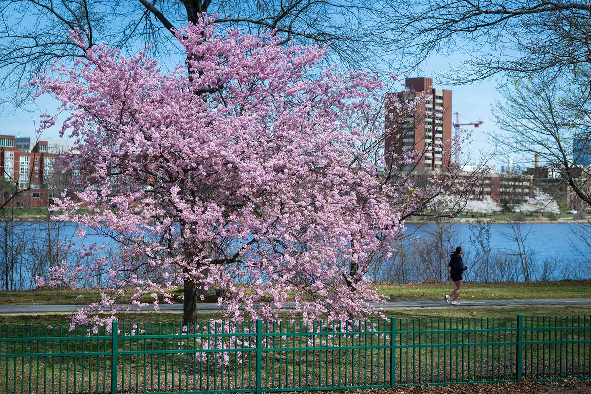 Boston University (@bu_tweets) on Twitter photo Congratulations to the 22 faculty on BU’s Charles River Campus who have been promoted to full professor. 🎉 The list includes researchers and scholars from <a href="/BU_CAS/">BU Arts & Sciences</a>, <a href="/COMatBU/">College of Communication, Boston University</a>, ENG, <a href="/BUQuestrom/">Questrom School of Business, Boston University</a>, STH, <a href="/BUSSW/">BU School of Social Work</a>, and <a href="/BUWheelock/">Wheelock College, Boston University</a>! #ProudtoBU
Full story ➡️ spr.ly/6010jUZvK Congratulations to the 22 faculty on BU’s Charles River Campus who have been promoted to full professor. 🎉 The list includes researchers and scholars from <a href="/BU_CAS/">BU Arts & Sciences</a>, <a href="/COMatBU/">College of Communication, Boston University</a>, ENG, <a href="/BUQuestrom/">Questrom School of Business, Boston University</a>, STH, <a href="/BUSSW/">BU School of Social Work</a>, and <a href="/BUWheelock/">Wheelock College, Boston University</a>! #ProudtoBU
Full story ➡️ spr.ly/6010jUZvK